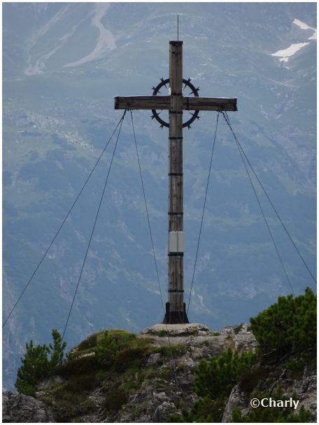 Zwlferkopf